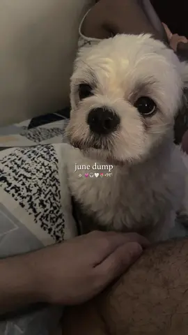 June dump 😇