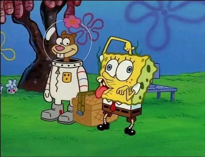 Mentahan Meme 🦅 #fyp #fy #fypシ #meme #foryou 