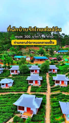 ที่พักสวยขยี้ใจมาก คนละ 300 บาท ท่ามกลางสายหมอก ฤดูฝนสุดฟิน มีสิ่งอำนวยความสะดวกครบ มาพร้อมกับห้องน้ำในตัว กินหมูกระทะท่ามกลางธรรมชาติ ดีสุดๆ ห้องสำหรับ 4 ท่าน กับที่พัก ไร่ชาเฉินฟงรีสอร์ท บ้านรักไทย #Tiktokกินเที่ยว #tiktokพาเที่ยว #แม่ฮ่องสอน 