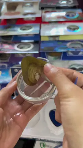 #PromoGuncang77 #kalungkerangmutiara #promoguncang77 