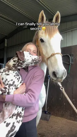 I’ve been hiding @Pony & Pup Social Solutions from you… until now 🐶🦄 #horsegirl #equestrian #equestrianlife #equestriangirl #horsegirlsoftiktok #horsetok #equestrianinfluencer #socialmediamarketing #socialmediamanager #socialmediastrategy #socialmediacoach #socialmediatips #socialmediagrowth 