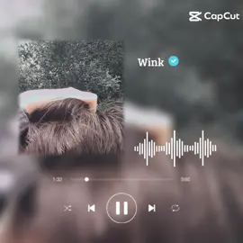😍😍😍