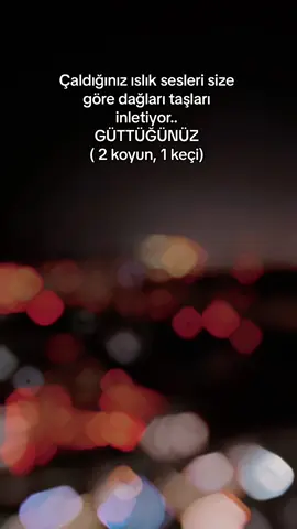 #CapCut 