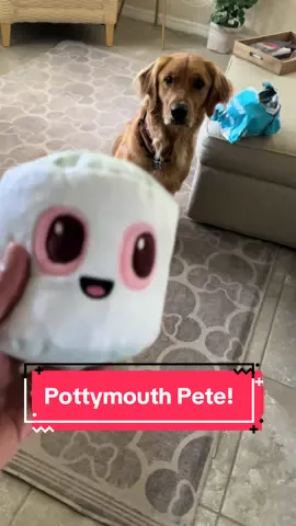 2 toys in one. Discover the secret of Pottymouth Pete @Shop BARK #dogtoy #finntastic #dogtoys #pottymouthpete #dogsoftiktok #goldenretrieverlife #checkoutmyshop 