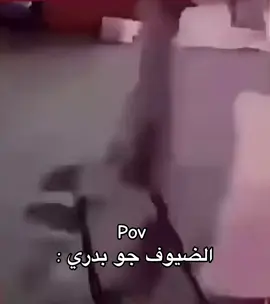 #fyp #الشعب_الصيني_ماله_حل😂😂 #ضحك #ذبات #tiktok #foryou 