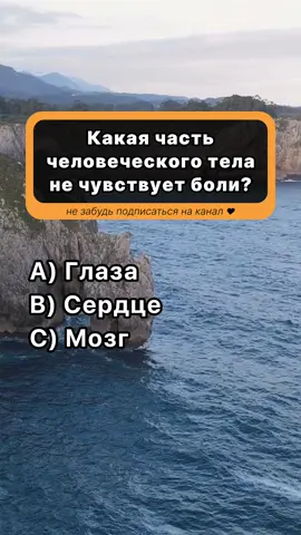 На сколько вопросов ответите?💬 Короткий тест на эрудицию и знание мира #викторина #вопросы #тест #знания #образование 