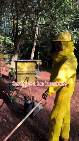 Será Que a Lua Interfere? . . . . #apismelfera #apiary #apis #miel #zootecnista #apiculteur #apicultores🐝 #conteudo #abelha #apicultor #tiktok #agronegocio #apismelifera #apiario #honey #mel #deus #natureza #globorural 