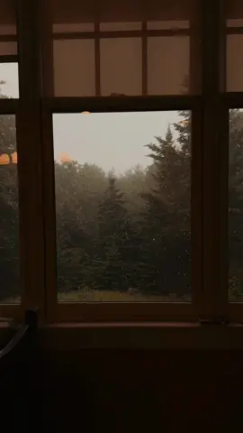stormy weather >>> 🌧️🌲 stormy weather just feels like home to me, no matter where I am. It’s so comforting—the steady pitter-patter of rain on the roof, the occasional rumble of thunder in the distance, and that fresh, clean scent that fills the air. Lately, it seems like the rain just won’t quit, and honestly, it’s made me feel unbelievably cozy and content. How does the rhythm of raindrops and the gray skies affect your mood? Do you find yourself more introspective and relaxed, or does it inspire you to engage in creative or leisurely activities? ⛈️🤎💭 It’s definitely a good mix of creative inspiration and relaxation for me <3  #twilight #twilightaesthetic #twilighttiktok #twilighttok #foggyday #foggyforest #mistyday #stormy #stormyweather #rainy #rainyday #rainydays #rainyweather #rainydayvibes #rainyseason #naturevibes #natureaesthetic #naturecore #summerrain #darknaturalism #darkcottagecore #forestcore