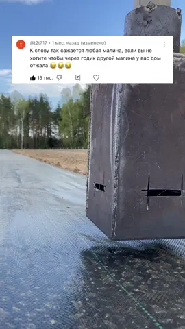 Малина без сорняка и прополок 