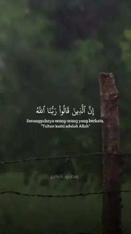 Surah Fussilat ayat 30 || Muhammad Dibirov  #galeri_quran_ #quran #murottal #sunnah #fyp #CapCut 