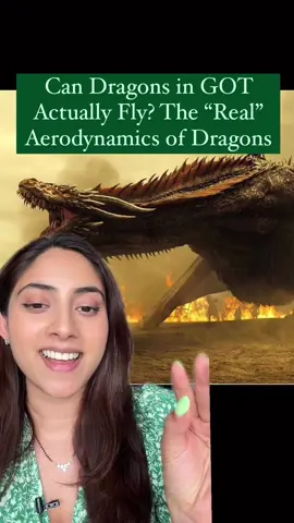 Definition of fun science. An aerodynamicist used aeropsace equations to figure out if dragons could actually fly in the Game of Thrones universe #gameofthrones #scienceismagic #aviation #dragons #houseofthedragon #airplane #Science 