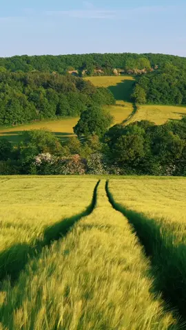 Spend a minute with me at home // #foryou #nature #fyp 