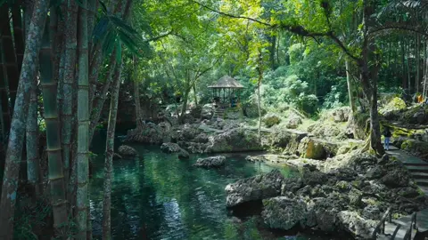📍Kolam alam Tilangnga  seindah dan senyaman itu😍  #torajasulawesiselatan #pesonaindonesia #wisatatoraja #visittoraja #torajakeren #tanatorajasulawesiselatan #tanatoraja_sulawesiselatan #kolamalamtilangnga #tilangnga #torajamaelo #torayamaelo #wonderfulindonesia 