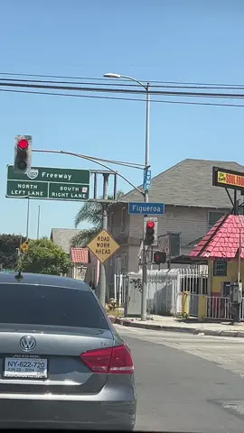 LA Native 🤞🏽🌴  #ifykyk #losangeles #megantheestallion #figueroastreet 