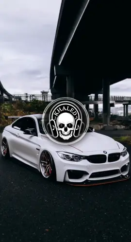 يل جنت وردة بحياتي وبقلب مزرووووع⚘️🍂🪴#ريمكس🔥🖤 #khaled_remix515 #ريمكسات #اغاني #طرب #tiktok #arabic #musica #arabic #الهاشتاقات_للشيوخ #اكسبلورexplore #سوريا_تركيا_العراق_السعودية_الكويت 