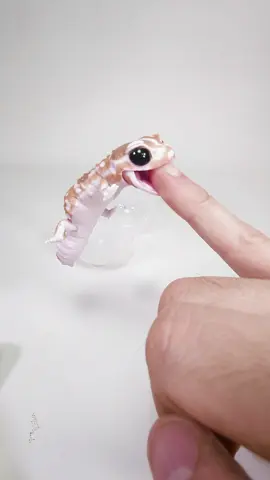 #lizard #frog #gashapon #asmr #toys  #ガチャガチャ 