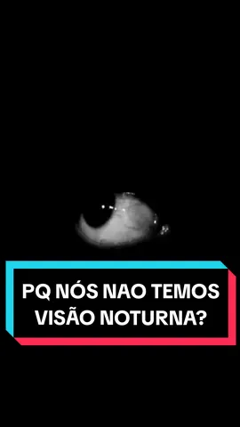 Pq nós não temos VISÃO NOTURNA? #biologia #curiosidades #ciencia #animais 