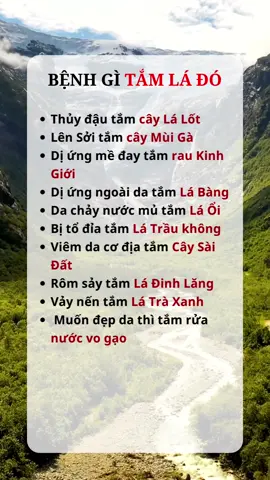 Bệnh gì tắm lá đó #suckhoe #songkhoe #songkhoemoingay #addp #duocphamaddp 