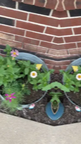 Love all the beautiful flowers!!!!#LifeIsGood #viralvideos #growyourownfood #viral #gardentok #fypage #homestead #gardening #foryou #raisedgardenbed #fypp #blooming #gardenharvest #vegtables 