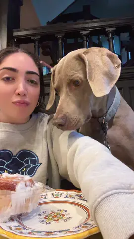 This was hard for him #dogs #dogsoftiktok #cutedog #fyp #foryoupage #doglife #desserts #desserttiktok #food #FoodTok #foodies #puppy #puppytok #cutedogsonly #cutedogsoftiktok #food 