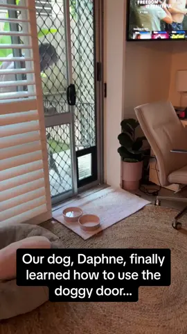 The screaming at the end 🤣🤣🤣 #RoadTo15Million #Pubity  (Tessnolan via Collab)