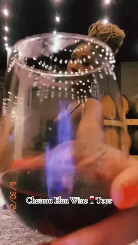 @chateauelanwinery was a 10 out 10  #viral #fyp #atlanta #thingstodoinatlanta #vibes #winery 