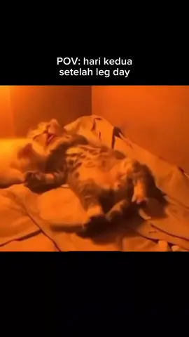 langsung gk bisa bangun gweh🥲 @Robby Shine  #duoshinefitness  #gym  #Fitness  #workout 