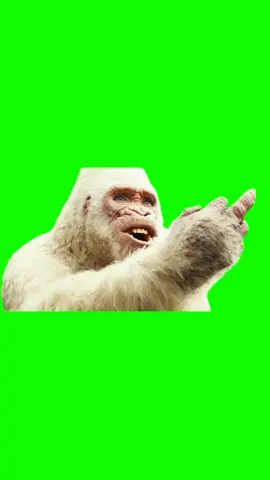 George Shows Middle F Memes (Green Screen) #CapCut #templatecapcut #fypシ゚viral #memes #monkey 