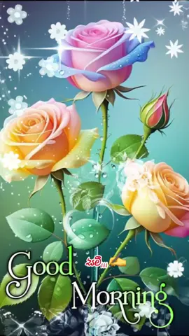 #good_morning 🌷🥀🌷🥀🌷🥀🌷🥀🌷🥀🌷🥀#good_morning #CapCut #viraltiktok #fypage #viralvideo #Love #iloveyou #srilanka #iloveyou #srilanka #sinhalasong #fypシ゚viral #song #video 
