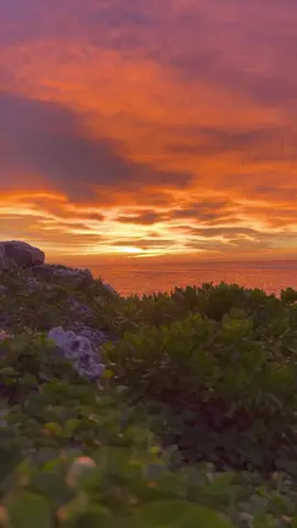 🥺❤️#tiktok #songs #foryou #foryourpage #lyrics 