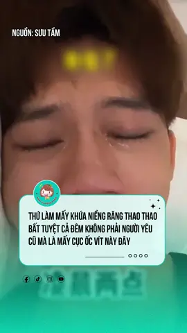 Cắm minivis kể cũng nhàn :v #niengrang #nhatkyniengrang #tiktoknews