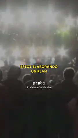 Te tengo amor obsesivo un poco tetrico #josemadero #pepemadero #panda #pxndx #amantes #parati #fy #jmv #amor 