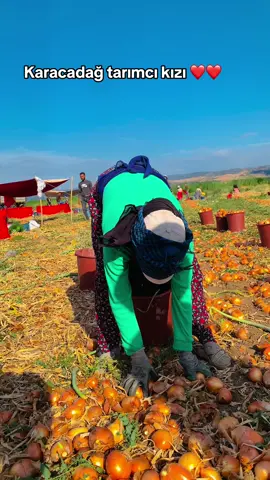 Karacadağ tarımcı kızı 82 ……..❤️❤️❤️#karacadağ #tarım #soğan #işçi #öneçıkart #keşfetteyizzz #kar#karacadağancı kızı