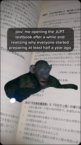 Are you ready for the JLPT this Sunday? 😄🇯🇵 #jlpt #japanese #learnjapanese #日本語能力試験 #bunpoapp #bunpo #funny #Meme #MemeCut #CapCut 