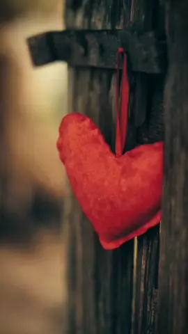 میرا دل فقط تیرے نام رہے 💓 #loveyou  . . #lovequotes #LoveIsLove #lover #viralvideo #lovepoetry #foryoupage❤️❤️ #anuustatus💓 #goodvibes 