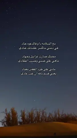 #قصايد_شعر_خواطر #جبراتت📮 #tiktok #هواجيس #هواجيس_الليل #explore 