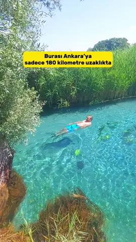 Ankara’ya 180 km Azmak Nehrini aratmayacak bir yer bulduk. Suyun berraklığını görüyorsunuz 😍 Öncelikle bu güzel görüntüyü bizimle paylaştığı için @numankocak ‘a teşekkür ederiz 🫶 Sakarya nehrinin doğduğu yer olarak kabul edilen bu yerin adı Sakaryabaşı, Eskişehir’in Çifteler ilçesinde.  Burada yemek yiyebileceğiniz, piknik ve kamp yapabileceğiniz işletmeler mevcut.  Bölgede 5 ayrı kaynak bulunur. (Sakarıbaşı kaynağı, Gökgöz kaynağı, Kırkkız kaynağı, Ilıksu kaynağı ve Göztaşı kaynağı.) Gökgöz kaynağı temiz ve berrak suyu nedeniyle dalış için bir merkez haline gelmiş. 📍Konum bilgisi sayfamızın üst kısmındaki linkte mevcut (biyografide) #ankara #eskişehir #sakarbaşı #ankaradagezilecekçokyervar #çankaya #ankara #keçiören #polatlı 