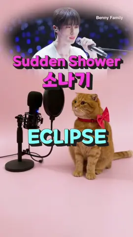 베니의 Sudden Shower(소나기) - ECLIPSE(이클립스) | Lovely Runner(선재 업고 튀어) OST cover by Benny the Cat 😻❤️  #선재업고튀어 #소나기 #이클립스 #eclipse #suddenshower #lovelyrunner #선업튀 #변우석 #베니패밀리 #bennyfamily #cat #고양이 #bennycat #viral 