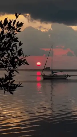 #niye #boyle #dargın #bakarsın #türkü  #gülerduman @Güler Duman  #a #v #g #türkiye #🇹🇷 