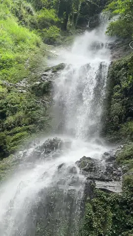 Cùng em đi lên núi nhé mn #phuoctinh255 #binhyen #quehuong 