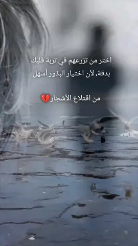 #صابر #الرباعي #عز#الحبايب #وين #اللى #كانو #الروح #بلسم #لهل #المجروح #قسيو_عقلبي_كتير#💔 #💔 #💔 #منهم #ياناري #ياطفي #ناري #وبكي #عيوننا #لو #شعر #شاب #اكسبلور #مصر #العراق #الكويت #السعوديه #المغرب #تونس #ترند #الشعب_الصيني_ماله_حل 