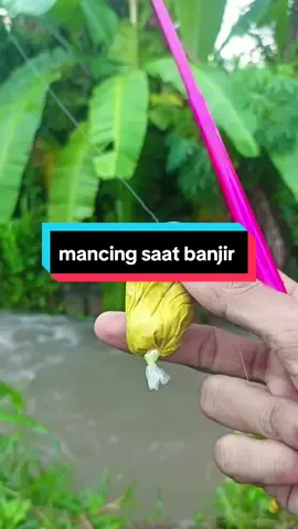 mencoba umpan racikan untuk mancing ikan wader berbahan dasar tempe & tepung .. walaupun kondisi air sangat keruh dan besar dengan racikan umpan ini ternyata ikan masih mau makan... #microfishingindonesia #mancingwader #mancing #microfishing #CapCut 