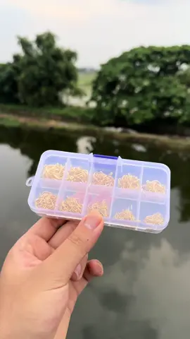 Hộp 500 Lưỡi Câu Vàng Có Ngạnh Chỉ 65kk #vietdocau #phukiencauca #caucagiaitri #caucatunhien #cauca #fishing #caudai #luoicauca 