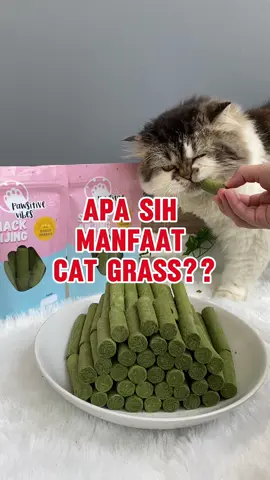 Apa sih manfaat cat grass buat kucing ??            #onlineshopping #WIBGAJIAN #fypシ #catsoftiktok #wibgajian #promoguncang77 