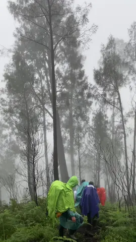 Kalian tahu gunung kawi atau warga lokal memanggil dengan nama Redi Kawi/Kawinajang? Gunung ini memiliki ketinggian resmi 2651 Mdpl. Gunung ini sering dianak tirikan oleh para pendaki karena ada juga gunung dengan nama yang sama namun hanya memiliki ketinggian 2603 mdpl. Benar tidak? #gunungkawi #kawinajang #puncakbatutulis #buthak_2868_mpdl #gunungindonesia #pegununganputritidur #fyp #kawi #pendakigunung #forest 