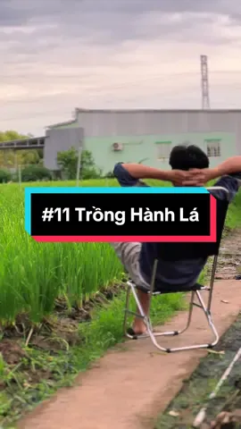 Vườn Hành Lá #hienonha 