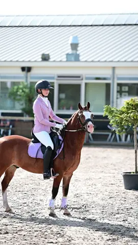 wedstrijd van afgelopen zaterdag met Siep 🐎 helaas een balkje   #welshpony #prinsenstad #regiokampioenschappen 