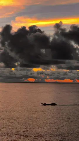 #hoanghon #xuhuongtiktok #fyp 