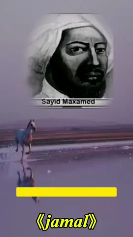 Sayid Maxamed Cabdulle Xasan oo raggii gumeysiga la shaqeynaayay gabay ku dhaleeceeyay. #everyone #somalitiktok #CapCut 