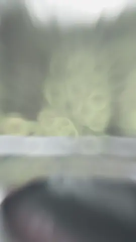 အိမ်ကိုလွမ်းတဲ့ခံစားချက်ကို အိမ်နဲ့ဝေးမှဘဲသိတော့တယ်😔